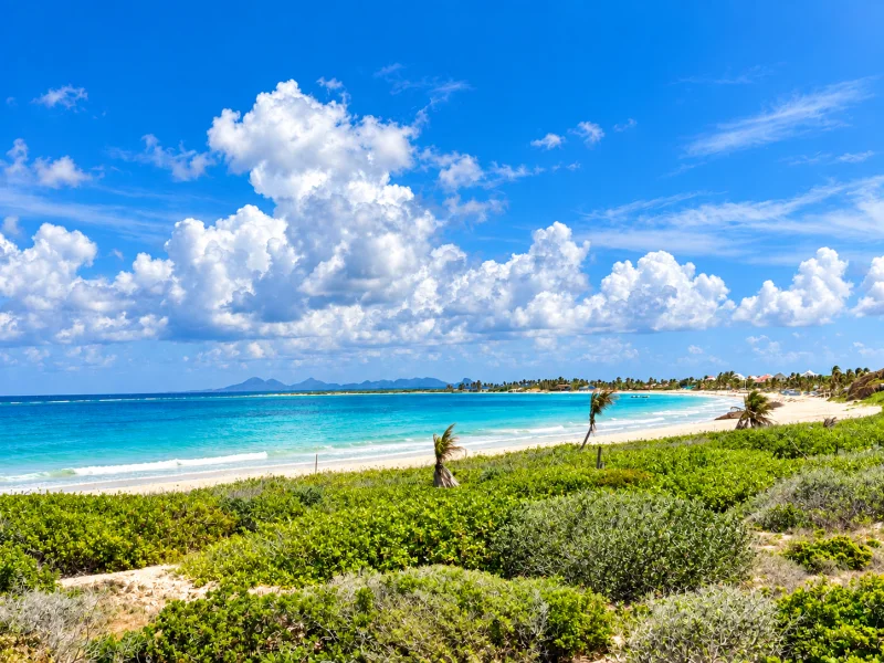 Tropical Dreams — Sea-view Studio, Orient Bay